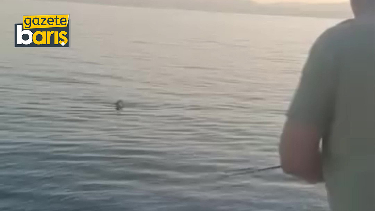 Oltaya balık yerine bakın ne takıldı