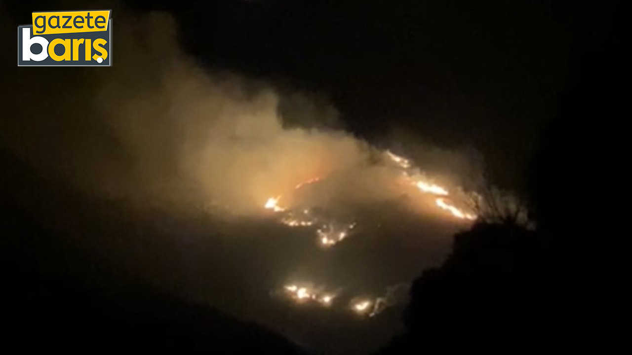 Marmara Adası'nda yangın