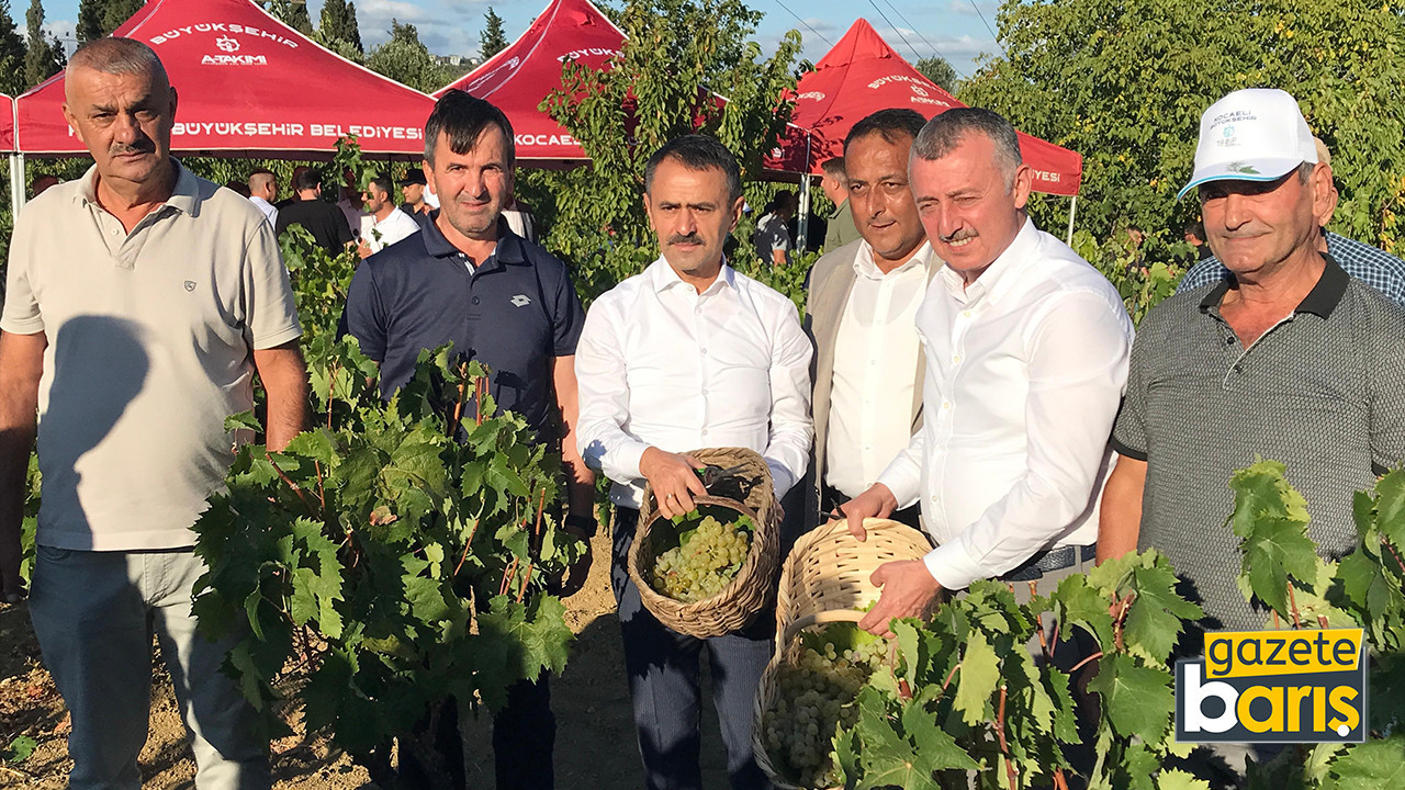 Büyükakın ile Vali Aktaş, bağda üzüm topladı