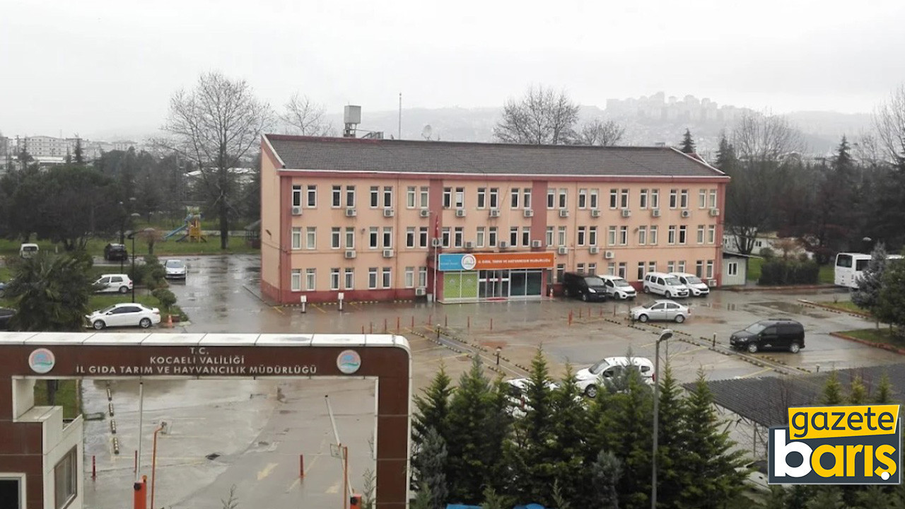 Kocaeli'de bu bina depreme dayanıklı mı? Bakacak firma belli oldu