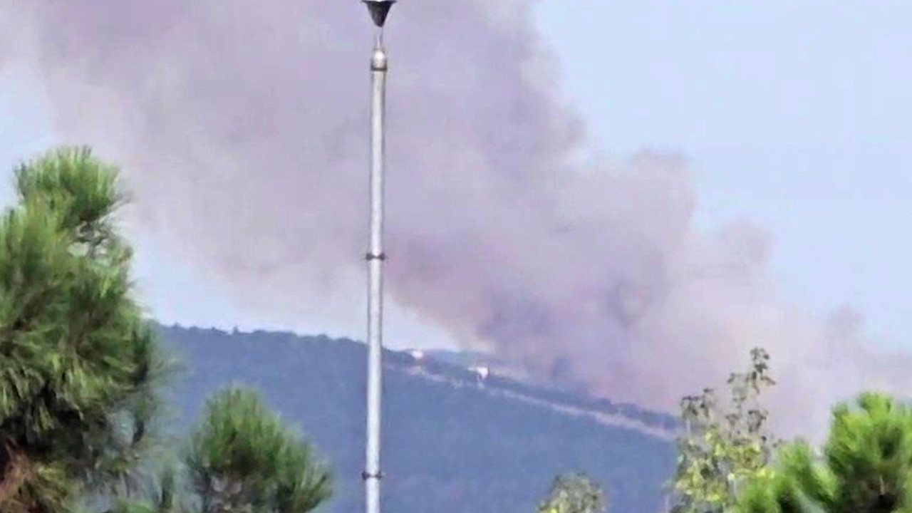 Kocaeli'de ormanlık alanda yangın