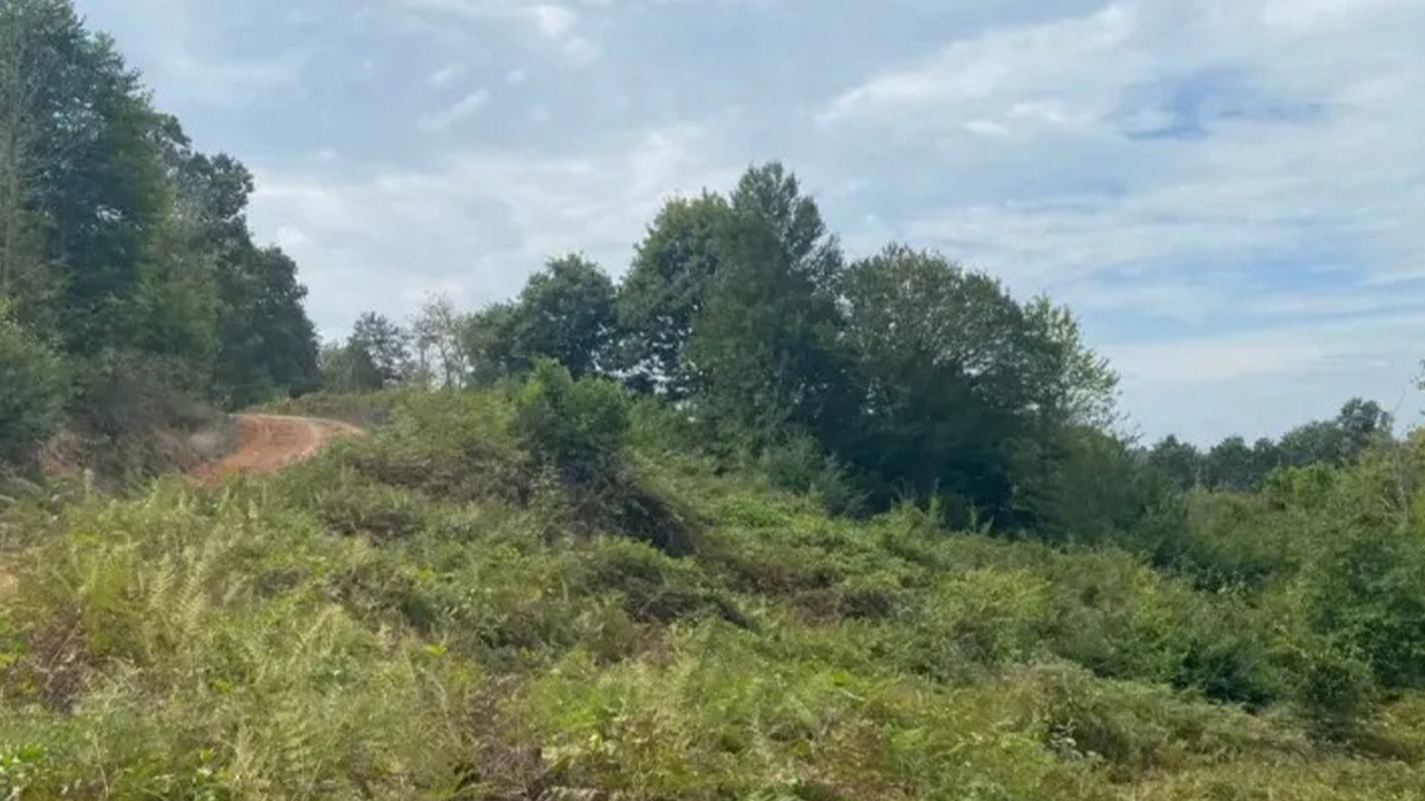 Kandıra'da ormanlık alana RES yapılacak. Toplantı tarihi belli oldu