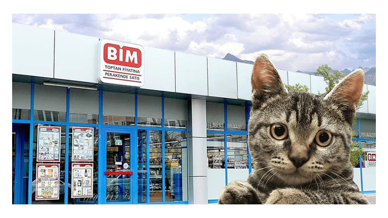 İzmit'teki BİM çalışanları kedi mi kaçırdı?