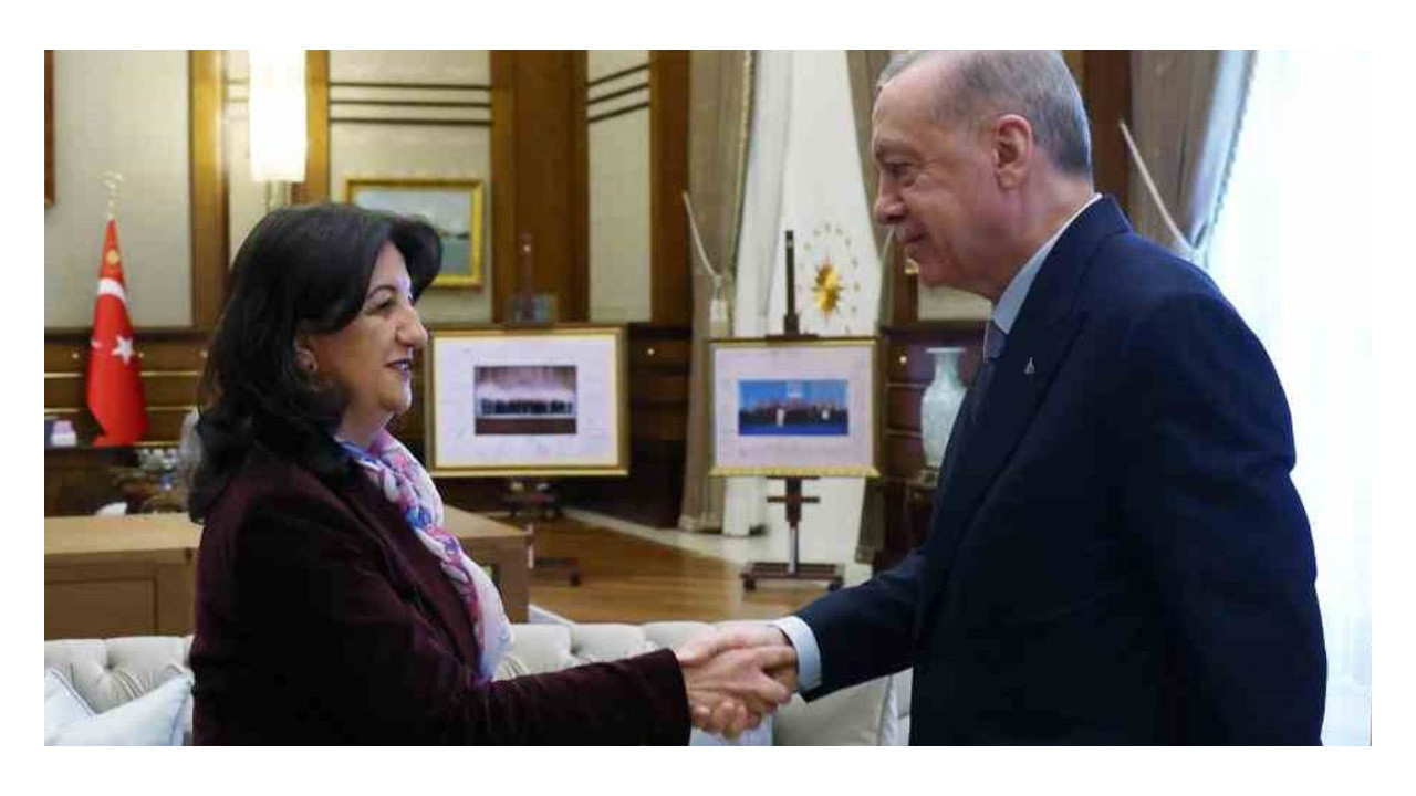 DEM Parti İmralı Heyeti Erdoğan ile görüşecek
