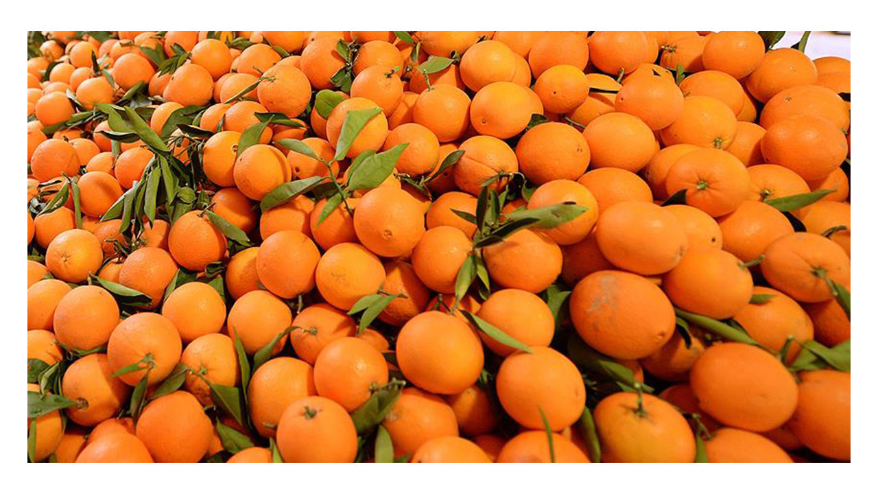 Sonbaharda hastalıklara kalkan olan 8 besin