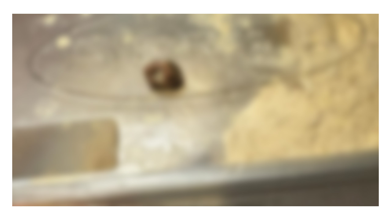 İçinden çıkan cisim Kocaelili vatandaşın dişini kırıyordu