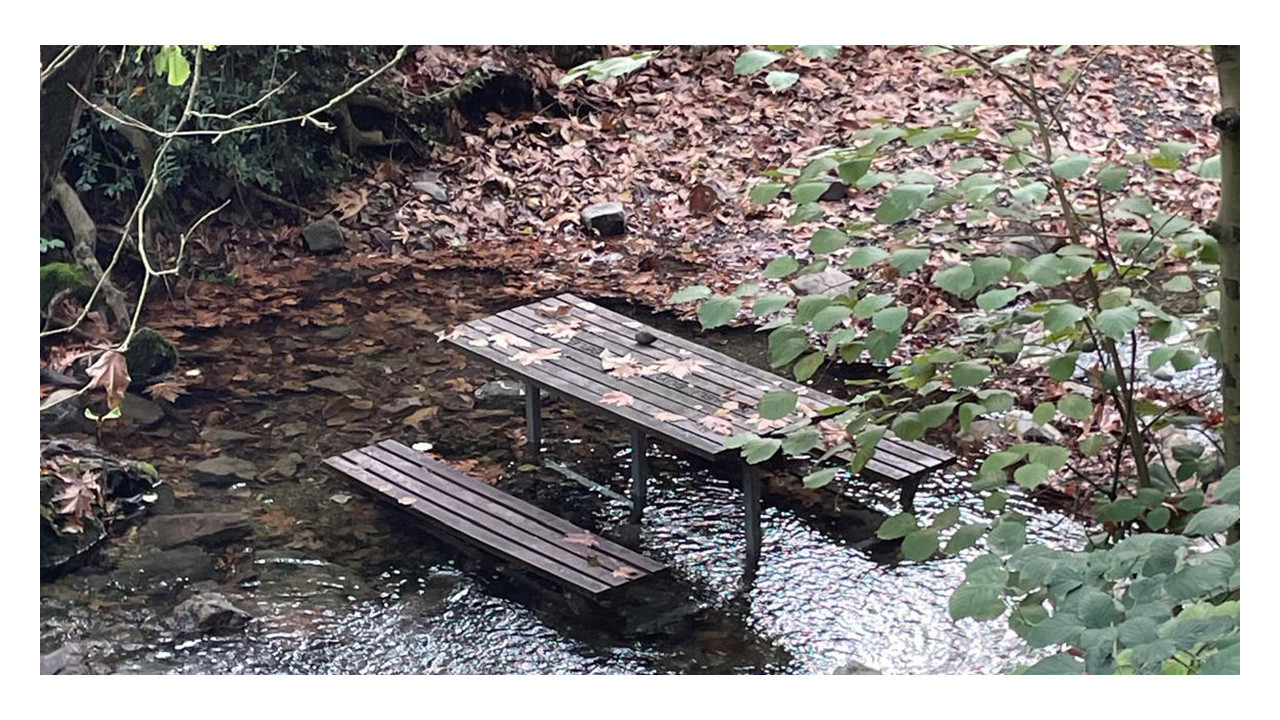 Kocaeli’de Çınarlıdere içmesuyu havzası ilan ediliyor!