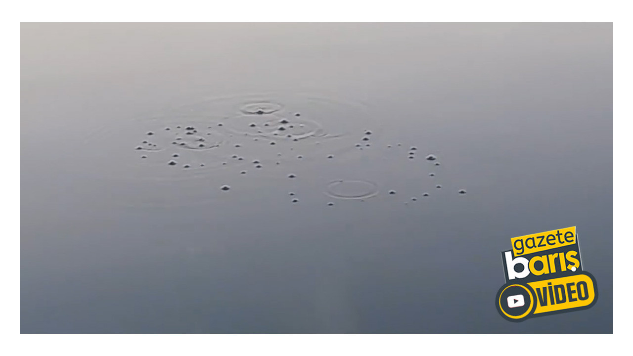 Sapanca Gölü'nde neler oluyor? Şaşırtan kabarcıklar