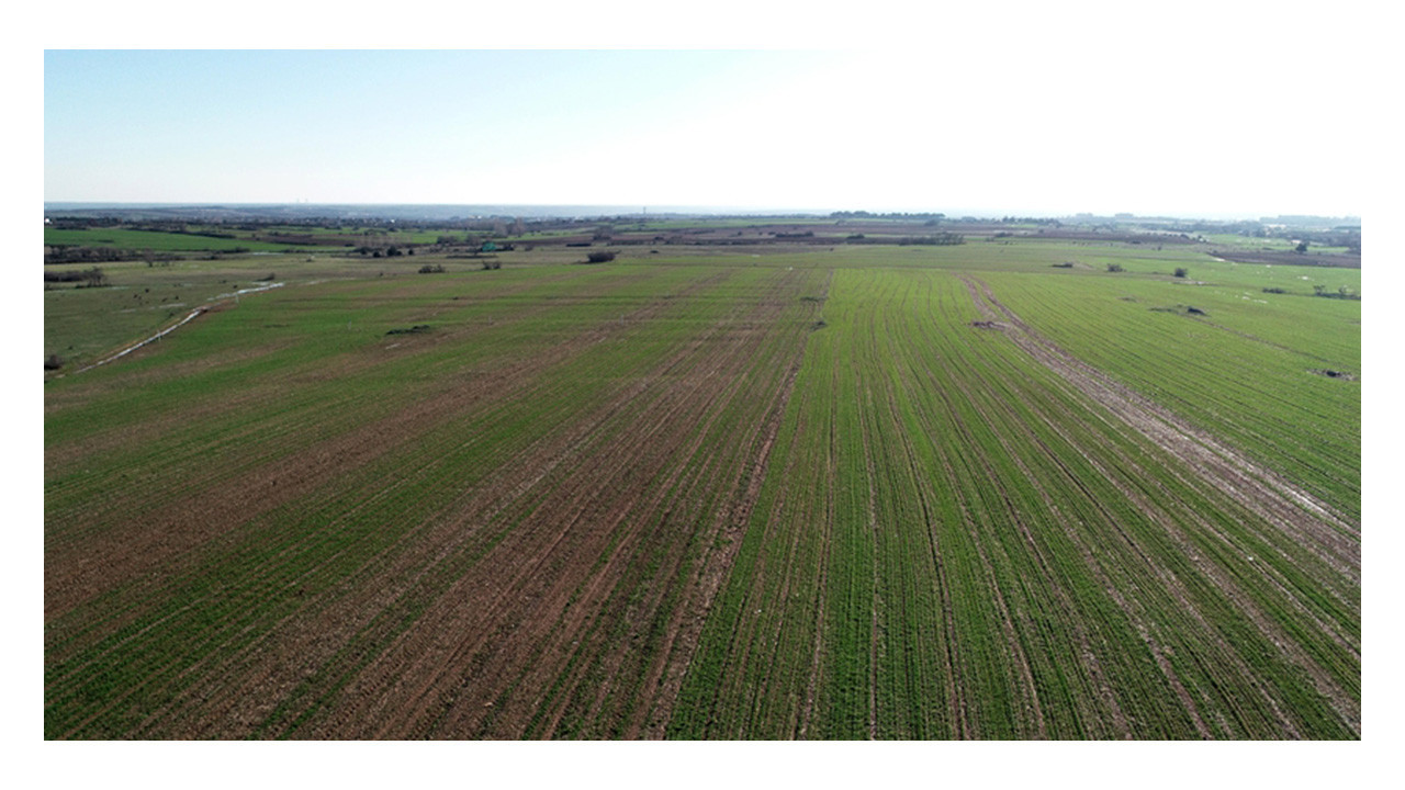 Borçluların canı yandı: Kocaeli'de mahkemeler tarla tapan demeden satıyor!