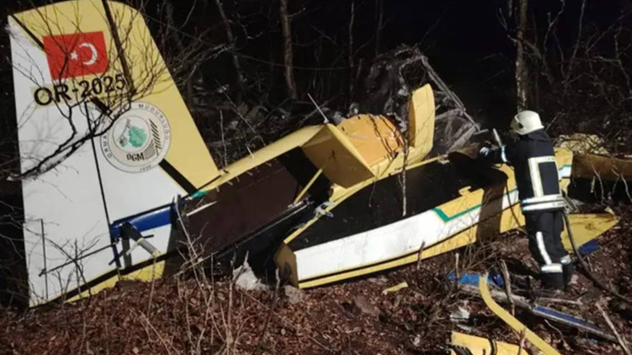 Türkiye'ye ait yangın söndürme uçağı düştü