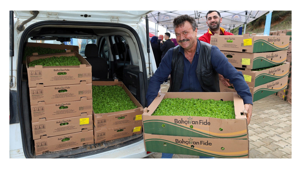 Kocaeli’de tarlalar bereketleniyor, Gebzeli çiftçiye büyük destek