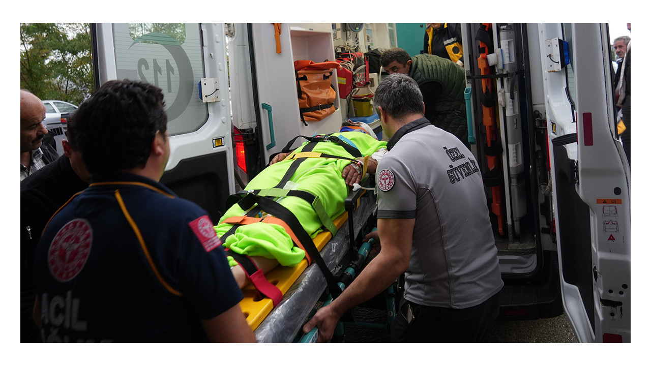 Mantar toplarken ayı saldırısına uğradı!