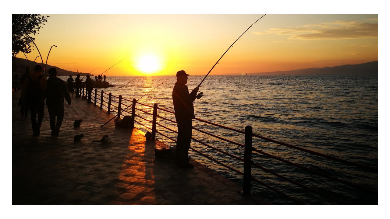 İstanbul’da çıkıyor Kocaeli’deki balıkçılar iç çekiyor!