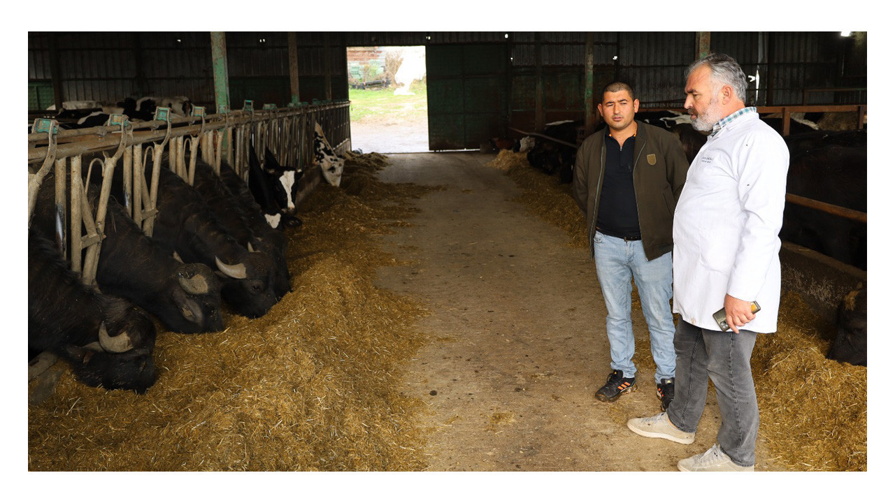 Kocaeli’de sayıları Büyükşehir’in desteğiyle artıyor