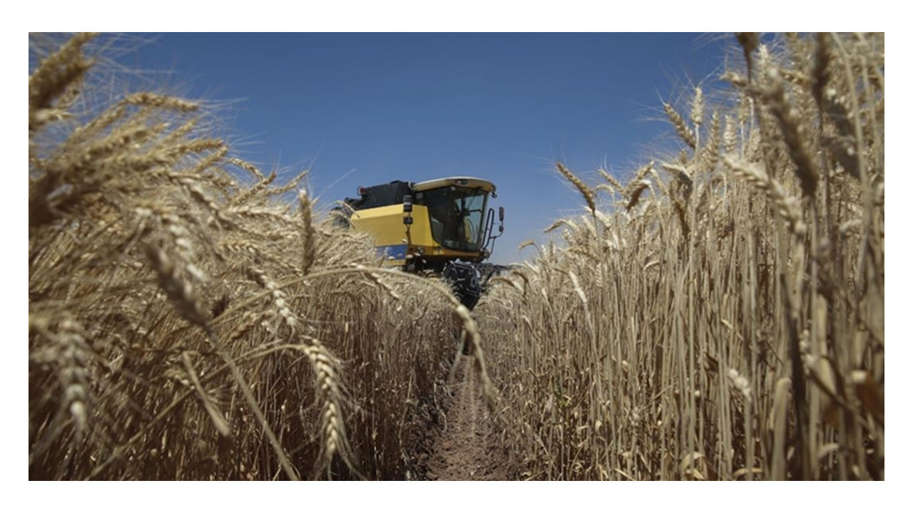 TÜİK açıkladı: Sebze meyve fiyatları arttı