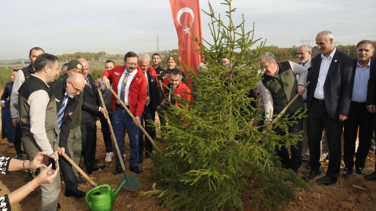 Hisarcıklıoğlu GTO Hatıra Ormanı’nda fidan dikti