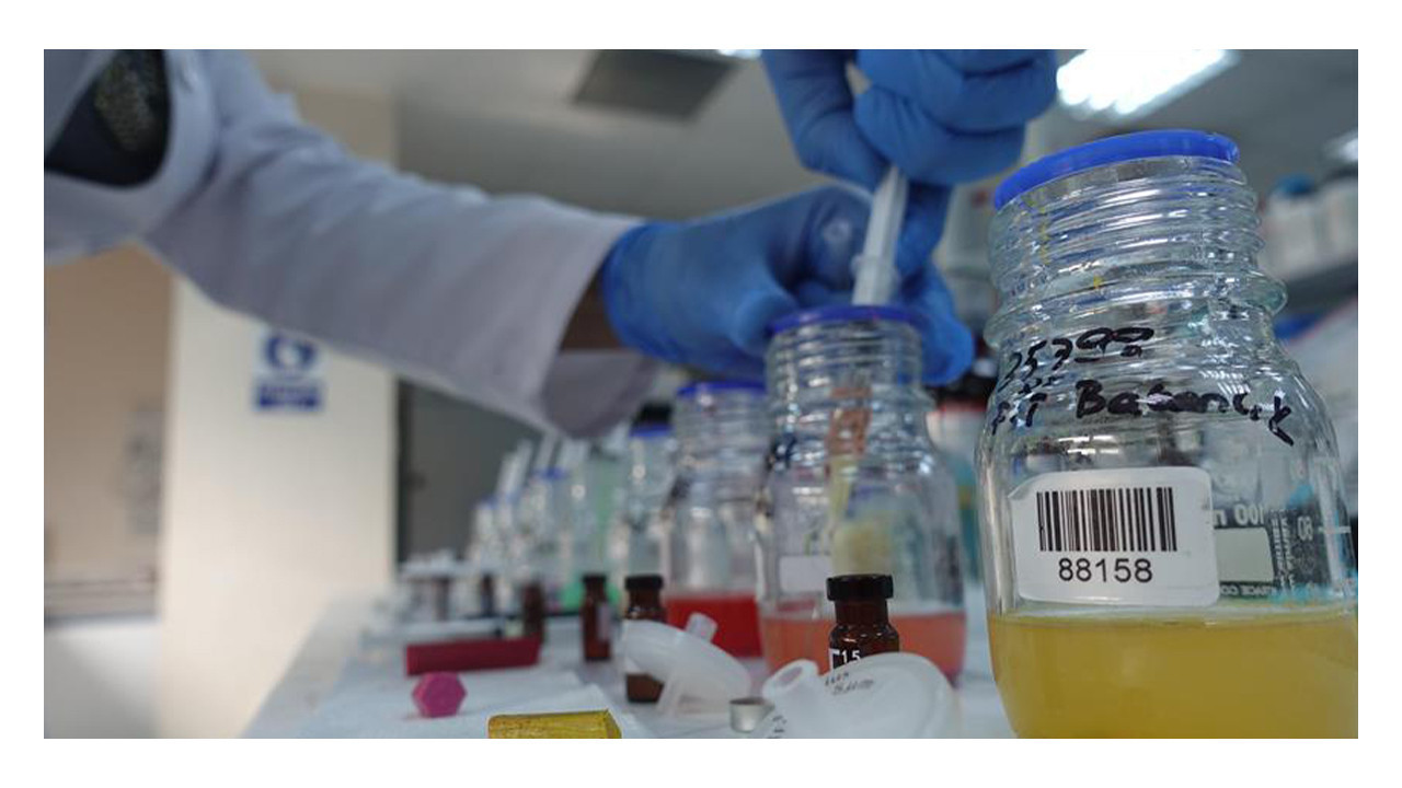 Uzmanından mutfaktaki kimyasal tehlikelere karşı korunmanın yolları