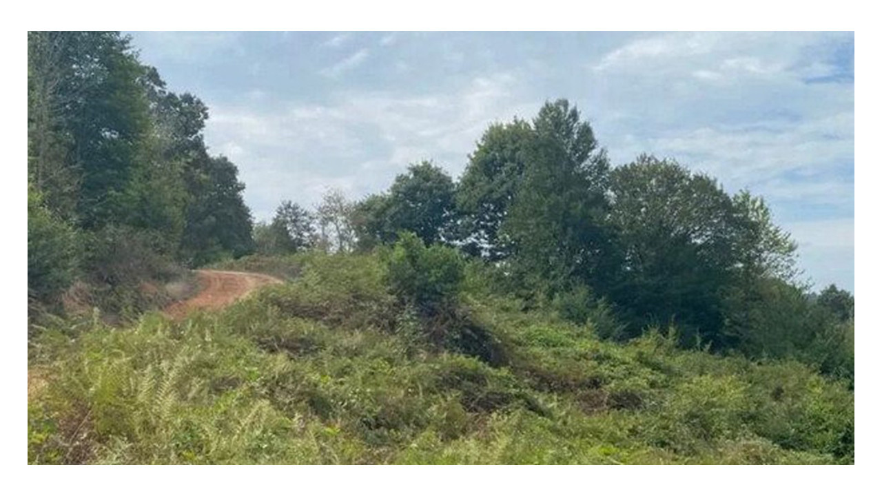 6 köyü ilgilendiriyor: Kandıra'da ormanlık alana santral için karar çıkacak!