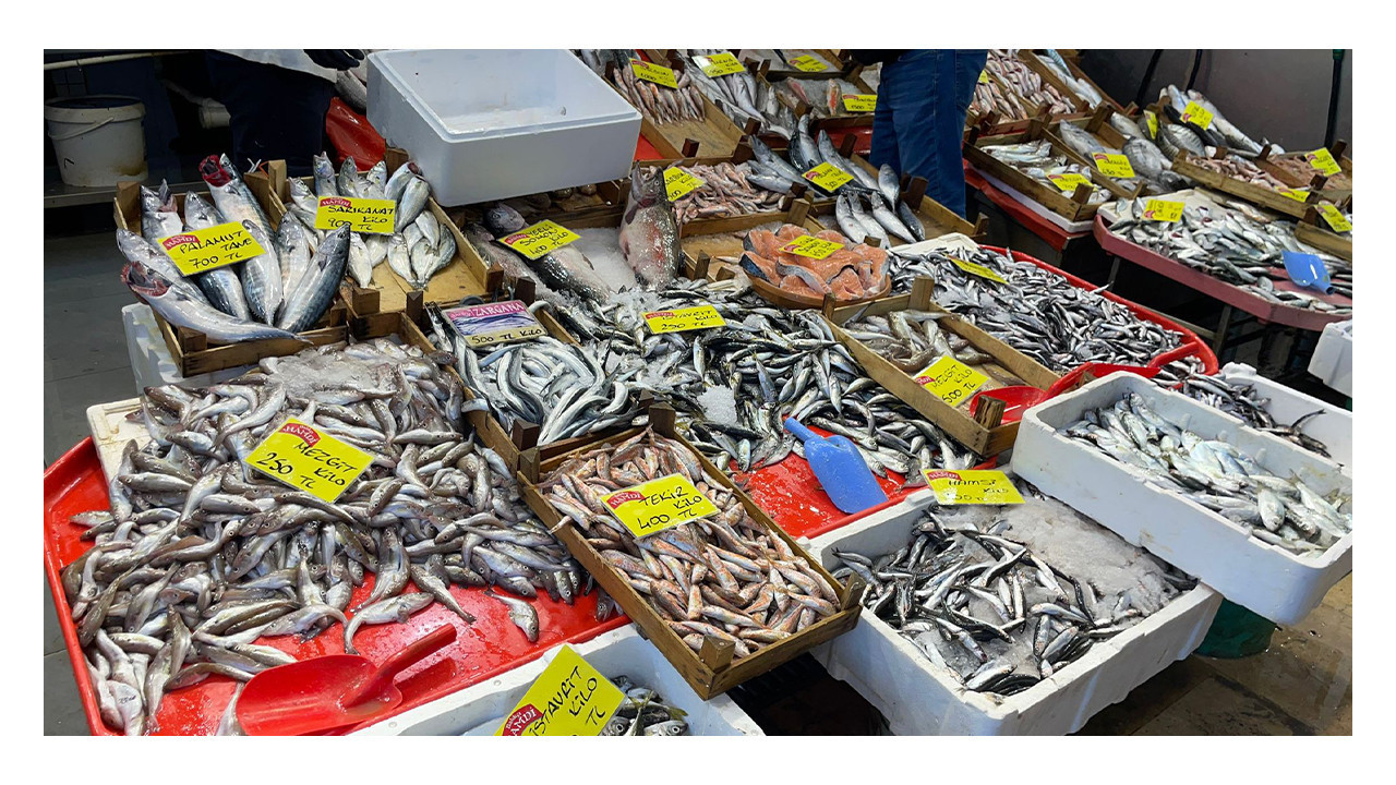 Kocaeli’de hamsi hariç güncel balık fiyatları cep yakıyor!