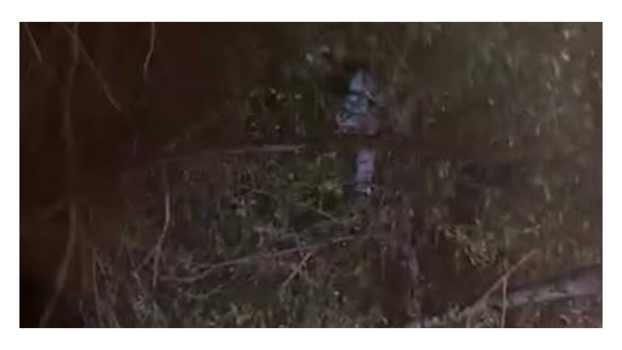 Kocaeli'de ağaçta kalan çocuğun yardımına itfaiye yetişti