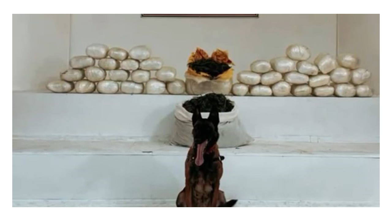 Bakan duyurdu: 555 kilogram uyuşturucu ele geçirildi