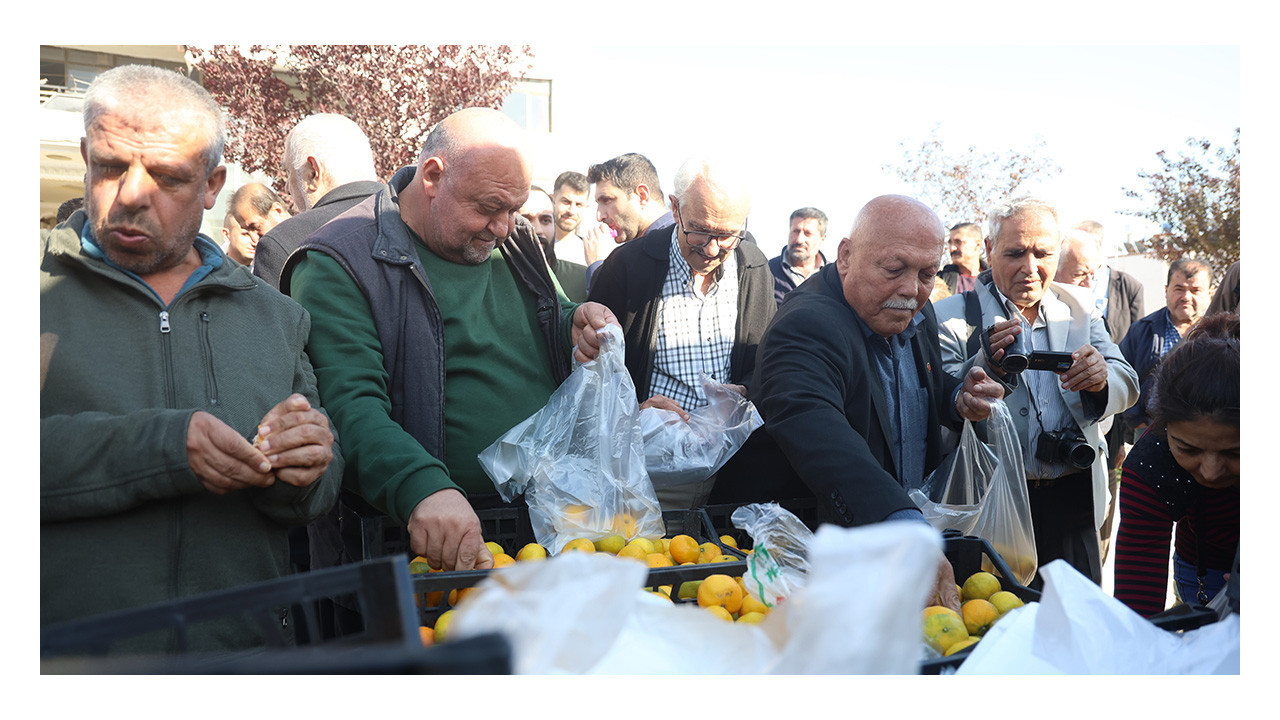 Fiyatı 2 TL'ye düşünce tonlarca ürünü vatandaşlara ücretsiz dağıttılar