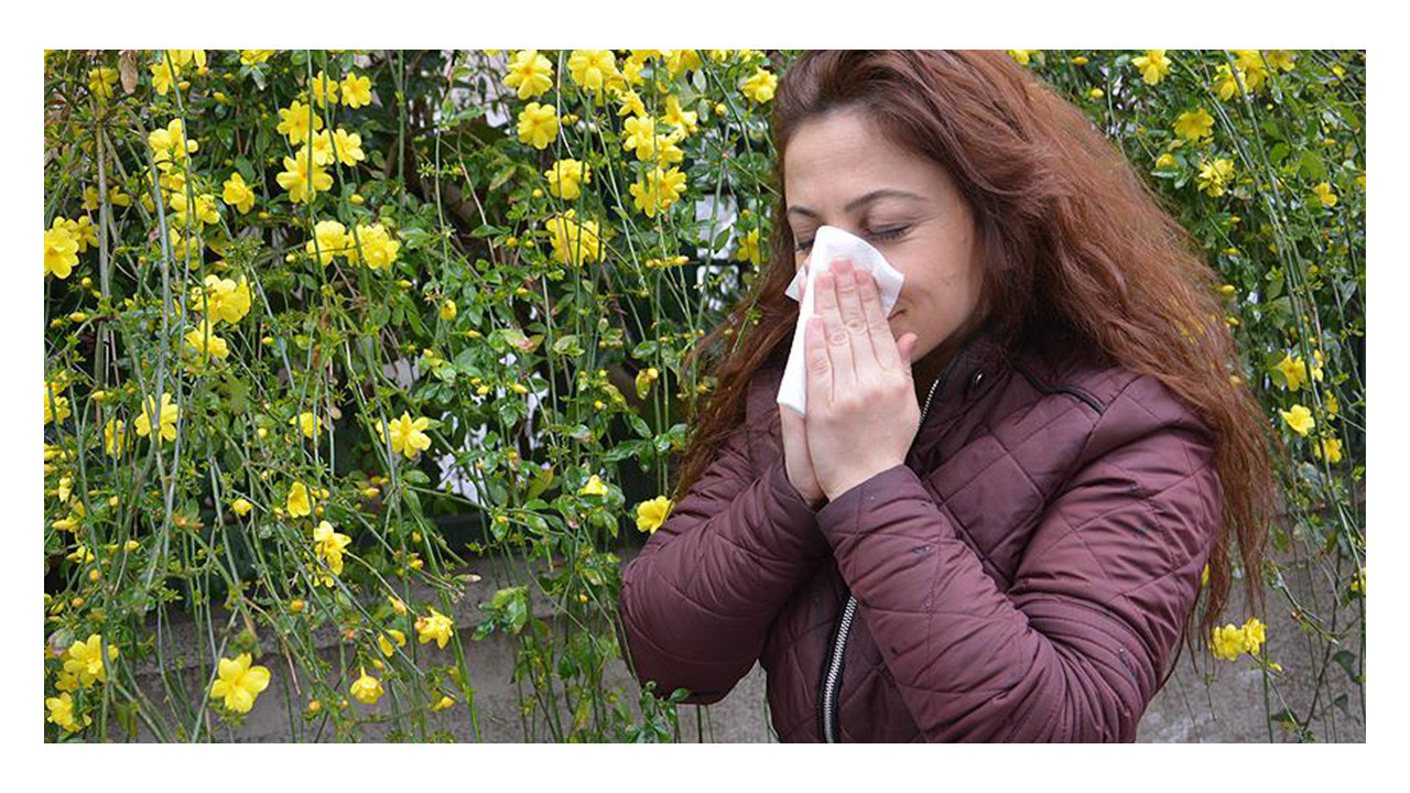 Sonbahar alerjilerine dikkat