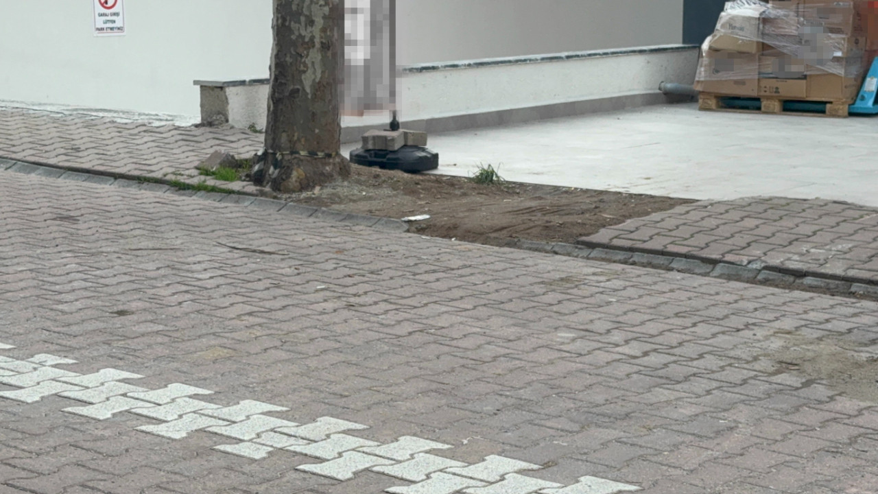 Kocaeli’de vatandaşın çöp sandığı poşetin içinden 60 bin dolar çıktı!