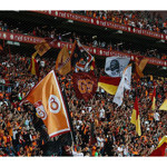 Köpekbalığı’na ceza, Aslan’a dokunulmazlık!