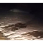 Derenin durumu korkuttu: Gebze'de çevre katliamı mı var?