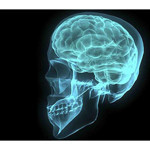 Ciddi kafa travmaları epilepsiye neden olabilir