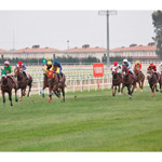 21 Şubat 2026 Cumartesi Adana At Yarışları sonuçları