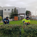 Hastane bahçelerinde yoğun bakım çalışması
