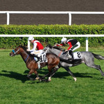 28 Şubat 2026 Cumartesi İstanbul At Yarışları sonuçları