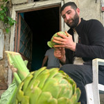 Enginar soyarak ayda 240 bin lira kazanıyor
