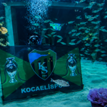 Körfez Aqua’da yeşil-siyah sürpriz