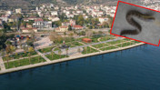 Kocaeli&rsquo;nin o il&ccedil;esini yılanlar mı bastı?
