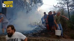 İzmit’te orman yangını!