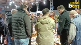 Av yasağı başladı, küçük teknelerin getirdiği balıklar mezatta satıldı