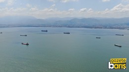 Akdeniz'in ziyaretçisi bu kez İzmit Körfezi’nde