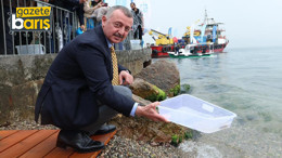 Biyoçeşitlilik artacak. İzmit Körfezi’ne binlerce balık salındı