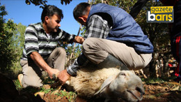 Uzmanı uyardı: Kurban Bayramı'nda bir anlık dikkatsizlik kalıcı hasara yol açabilir