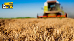 Palandöken: Tarım cazip hale getirilmeden fiyatlar düşmez