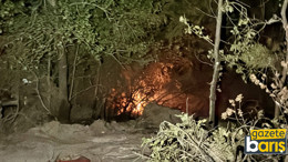 Kocaeli'de çıkan orman yangını söndürüldü