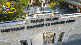 Hayvanat bahçesindeki hayvanlar buzla serinletiliyor