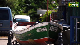 “Bu şehrin kalbi yeşil ve siyahla atar” Şehrin dört bir yanında Kocaelispor