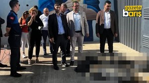 CHP’li Araz, “Büyükgöz sokak hayvanlarını hunharca katletti”
