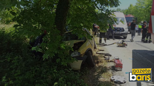 Kocaeli'de yaşlı çift ağaca çarptı