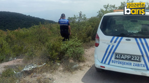 Kocaeli zabıtası kırsalda devriye geziyor