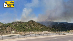 Tokat'ta orman yangını
